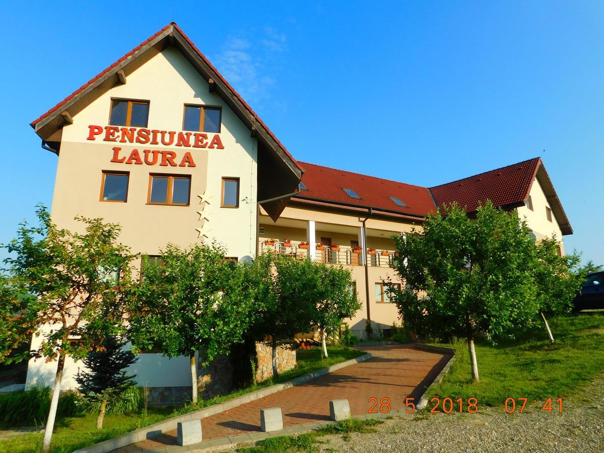 Pension Laura Cheile Turzii Petrestii de Jos Екстер'єр фото